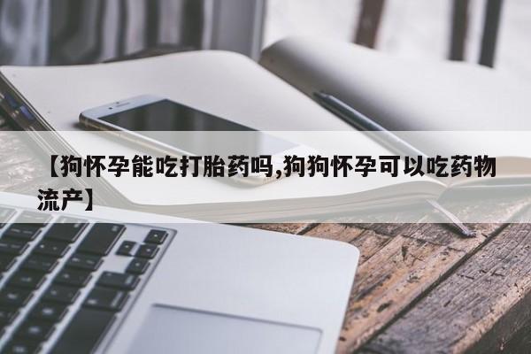 卖打胎药的联系方式或微信【狗怀孕能吃打胎药吗,狗狗怀孕可以吃药物流产】